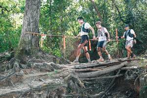 BIB: 
                            <button type="button" onclick="openModal(27743772)" class="btn btn-primary btn-sm float-right btn-popup" data-toggle="modal" data-target=".modal-high-quality">
                        <i class="fas fa-shopping-cart"></i> Add to Cart
                    </button>
                                            <button type="button" onclick="isThisMe(27743772, true)" class="btn btn-success btn-sm float-right btn-popup btn-isme hidden" data-toggle="tooltip" data-placement="bottom" title="นี่คือรูปของคุณใช่ไหม คลิกที่นี่เพื่อเอาเข้าอัลบั้ม">
                        <i class="fas fa-plus"></i> Add to album
                    </button>
                    <button type="button" onclick="isThisMe(27743772, false)" class="btn btn-warning btn-sm float-right btn-popup btn-isnotme hidden">
                        <i class="fas fa-ban"></i> Remove from album
                    </button>